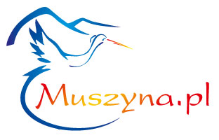 Arche Metalowiec Muszyna